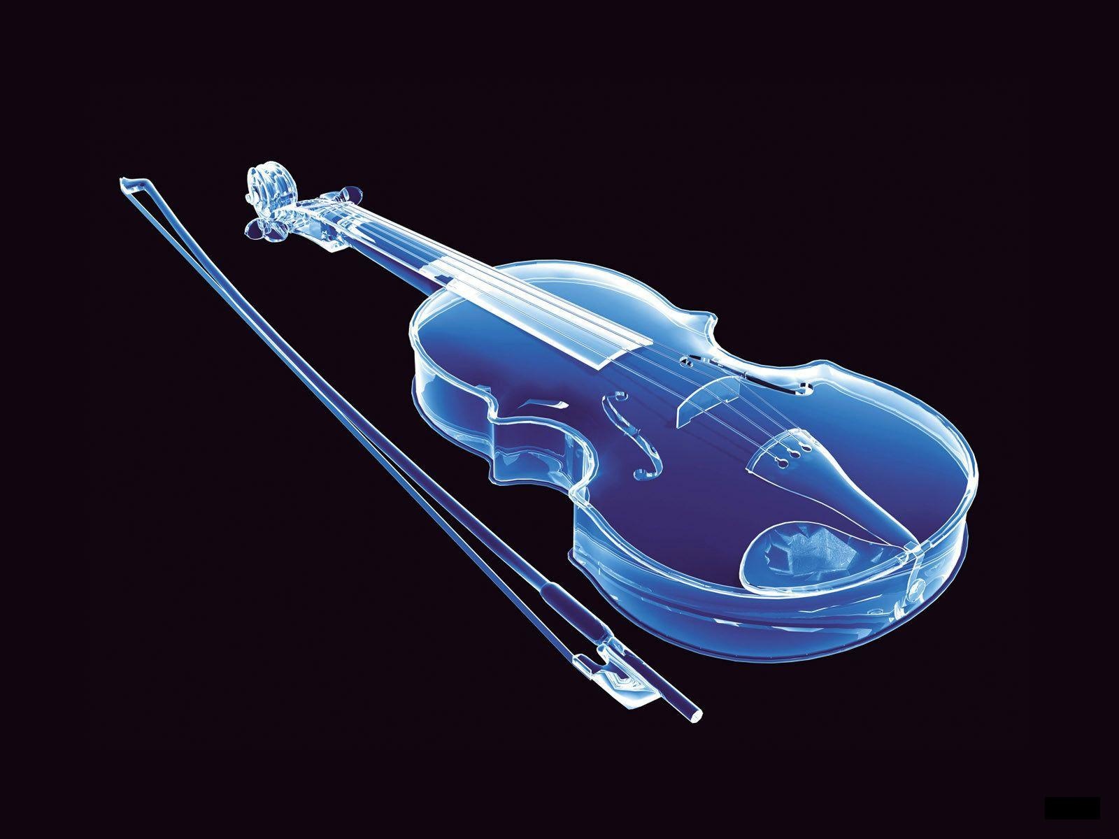 violin